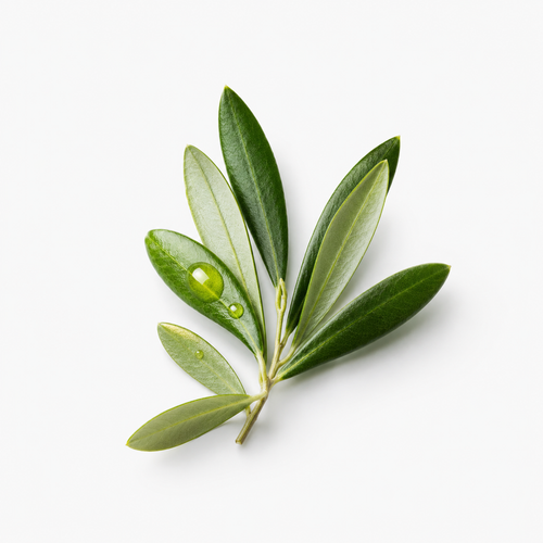 Panthenol / Beta Glucan
